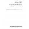 Capricho pintoresco op.41 (clarinet and piano) Bas...