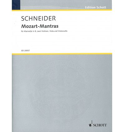 Mozart-Mantras nach Motiven der Arie Non ho colpa ...