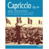 Capriccio opus 14 (clarinet & Concert Band = clari...