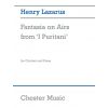 Fantasia on airs from I Puritani (Bellini) cl & pi...