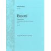 Concertino B-Dur op.48 (Réd. Cl & piano)